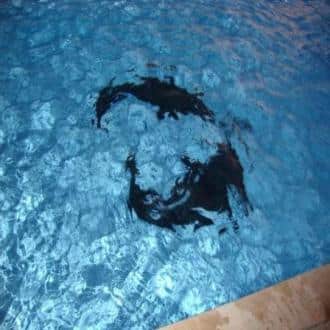 Two Bedroom Suites In Calangute, Goa. Rooftop Swimming Pool, Goa 5
